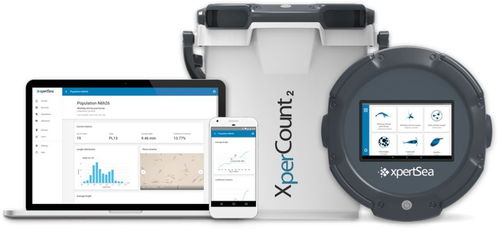 物聯互聯，智能養殖 網絡技術如何重塑現代水產養殖業